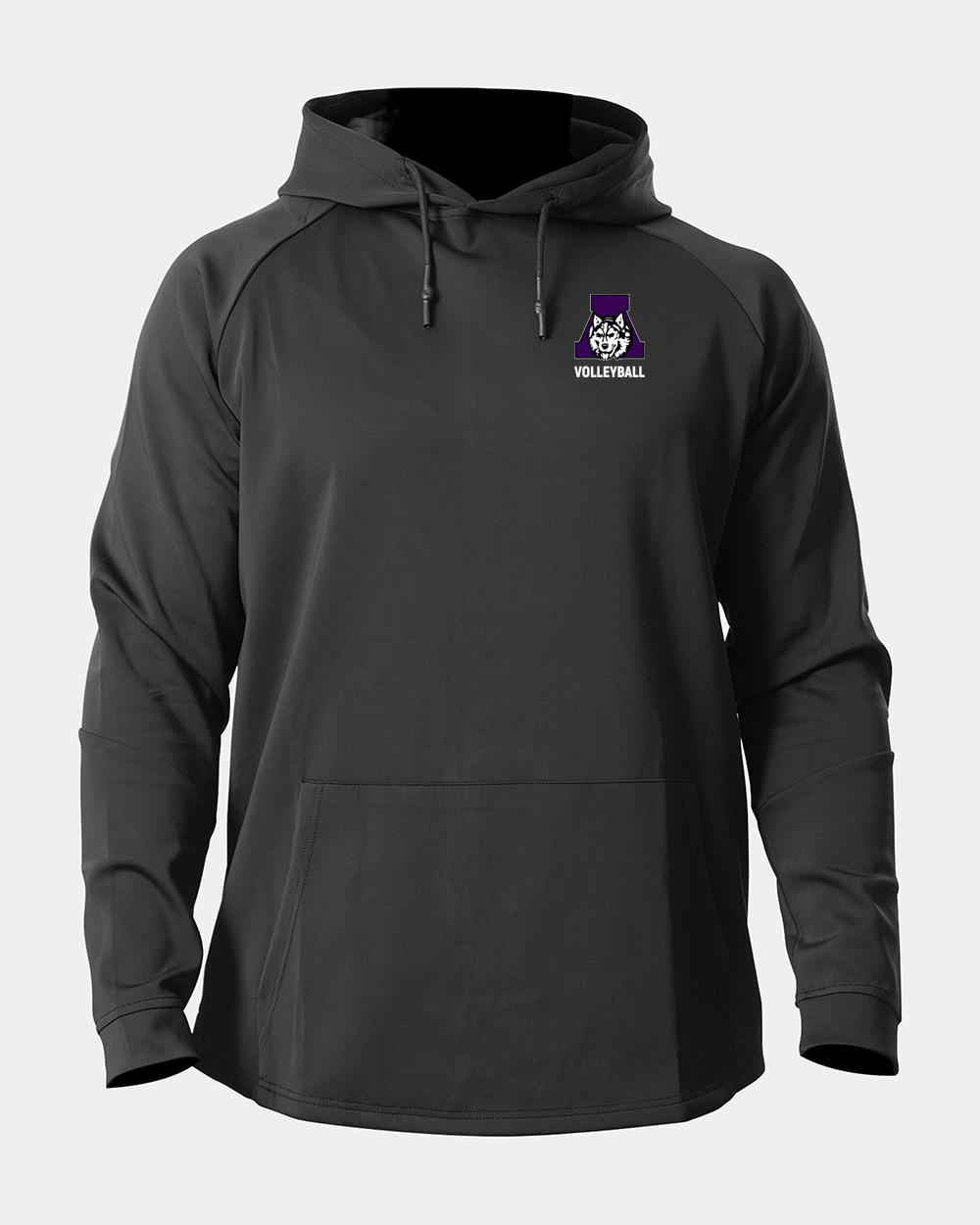 Albany Volleyball Volleyball logo