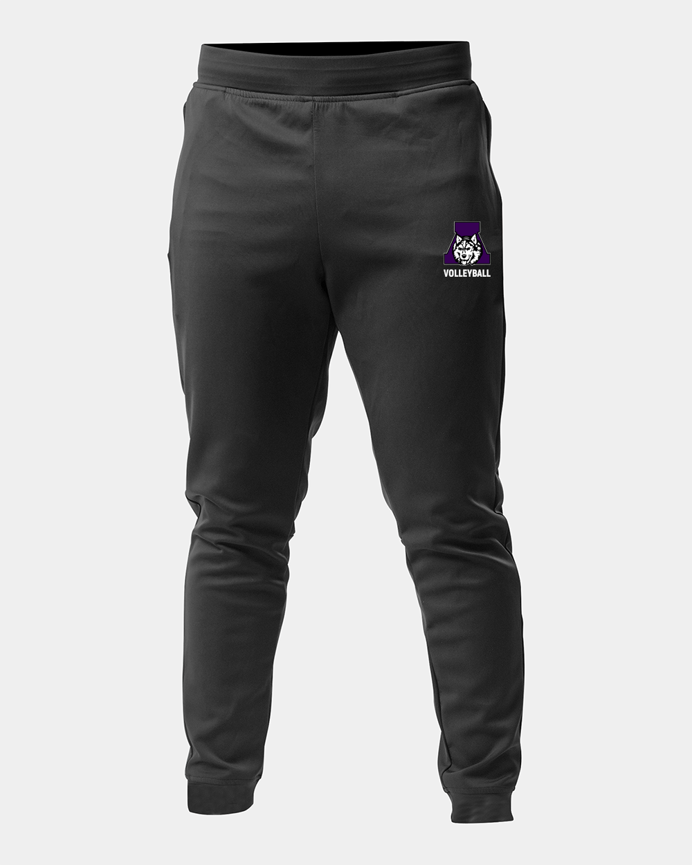 Albany Volleyball Volleyball logo