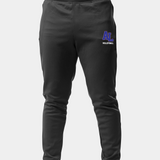 Albert Lea Volleyball logo