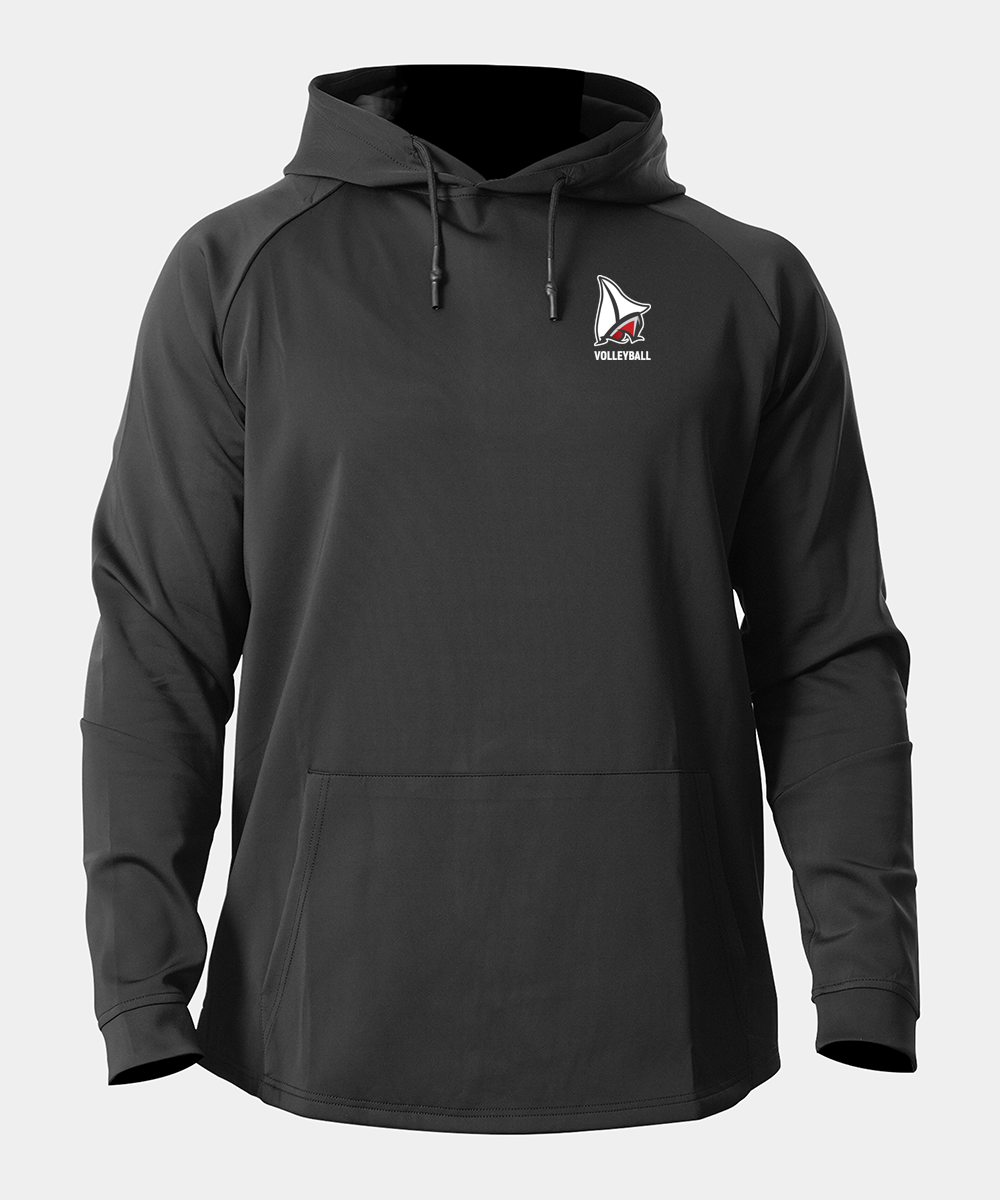 Detroit Lakes Volleyball Volleyball logo