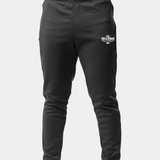 Dragons Volleyball Mockup logo