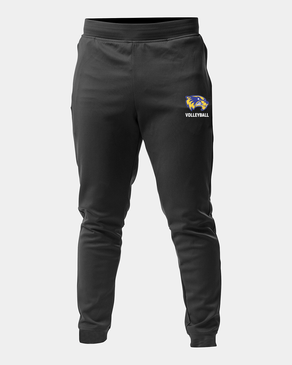 Wdc Volleyball Volleyball logo