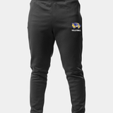 Wdc Volleyball Volleyball logo